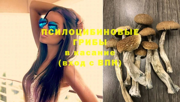 мяу мяу кристалл Надым