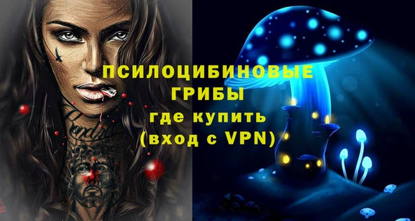 PSILOCYBIN Воткинск