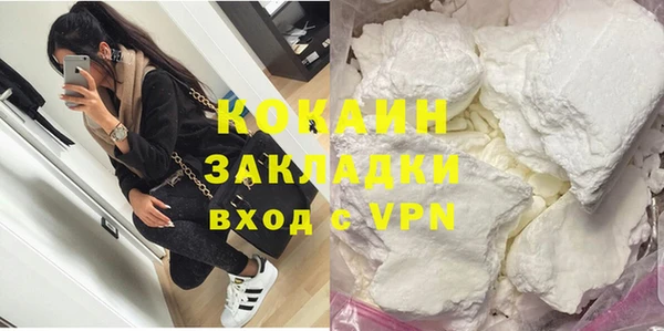 гашик Щигры